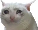 Sad