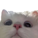 LcoDosPuntosUve Discord emoji