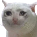 Untitldddedremovebgpreview Discord Emoji