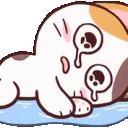 L_Cry