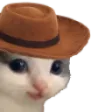 Meowdy