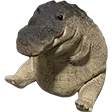 gator