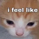 iFeel