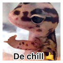 1112220945231388763.webp