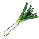 leek