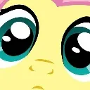 fluttercloseup