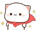 Hatori_cat64