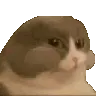 chewcat