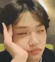 dongpyodisgust