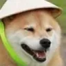 dogeFarmer