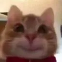 smilecat