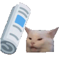 cat Discord Emoji