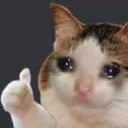 sad_approval