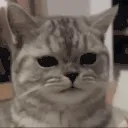 eww
