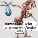 antcarryingstick