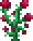 Strange_Plant_red
