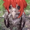 owluc