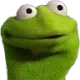 kermit_wut kermit_wut