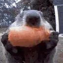 heEatin