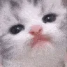 catLick