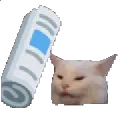 catbonk