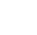 distortedskull