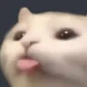 CatLicky Discord Emoji