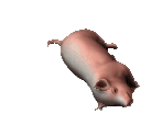 emoji_163