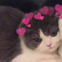 xx_kittymatch1 Discord emoji