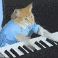 xx_gifkeyboardcat Discord emoji