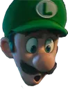 LUIGIPOG