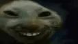 xddkiss