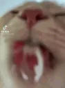AggressiveLick