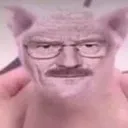 yo_cat