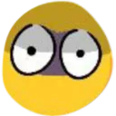 wtf