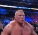 brock