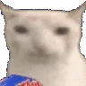 veryCat