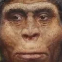 homo homo