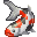 Koi