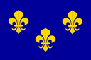 flag_France_Bourbon_1365_1794 Discord emoji