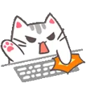 wcat_angry wcat_angry