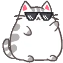 wcat_cool