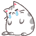 wcat_cry Discord emoji