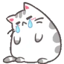 wcat_cry