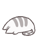 wcat_rip Discord emoji