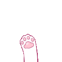 wcat_wave Discord emoji