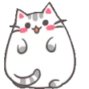 wcat_wink