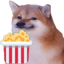 dogpopcorn