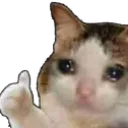 sadokcat