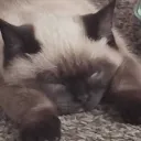mitxuDead